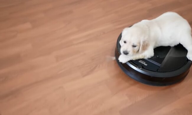 Wenn Nachbarn den Lärmpegel senken. Quelle: Youtube Screenshot