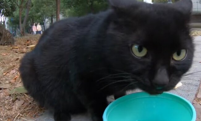 Charles. Quelle: YouTube Screenshot