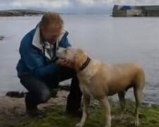 Ein Labrador rennt fast jeden Tag zum Pier, um mit seinem ungewöhnlichen Freund zu schwimmen. Ein sehr nettes Video