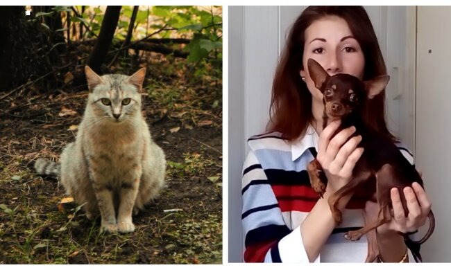 Frau und Tiere. Quelle: Screenshot YouTube