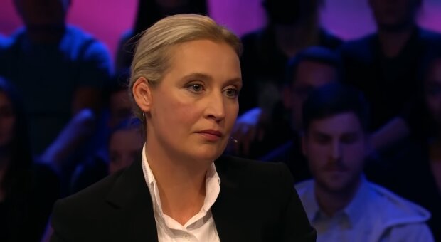 Weidel will Sozialleistungen an Beitragszahlungen knüpfen. Quelle: Youtube Screenshot