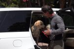 Hund im Auto. Quelle: Youtube Screenshot