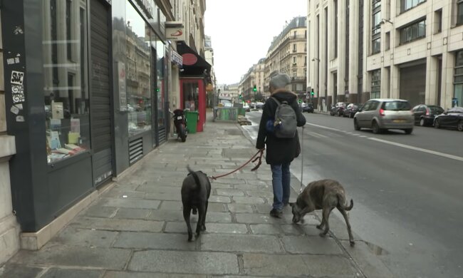 Bürgergeld-Bezieher belasten Krankenkassen – was steckt dahinter? Quelle: Youtube Screenshot