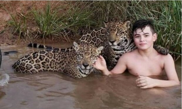 Was für ein mutiger Kerl:  brasilianischer Junge Thiago Silveira lebt mit Jaguaren