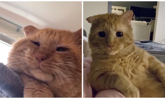 Bruce Willis. Quelle: Screenshot YouTube