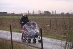 Babysitterin verlangt 45 €/h für 4 Babys. Quelle: Youtube Screenshot
