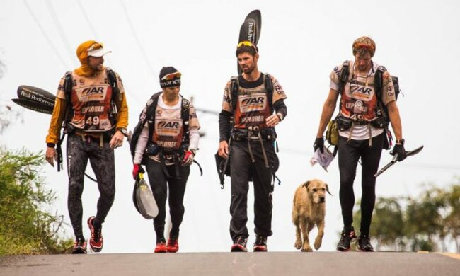 Der Hund legte 700 km durch den Dschungel Ecuadors zurück, um seinen Besitzer zu finden