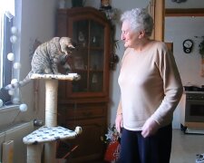 "Ich muss Ihnen meine Katze überlassen": weinende Frau trennte sich von ihrem alten Haustier