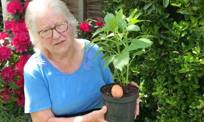 Kleine Freuden und harte Realitäten. Quelle: Youtube Screenshot