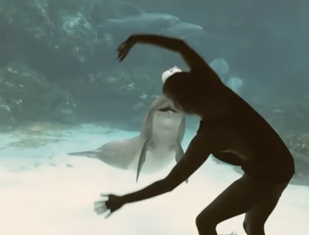 Mädchen und Delphin. Quelle: Screenshot YouTube