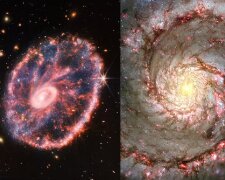 Spiralgalaxien. Quelle: dailymail.co.uk