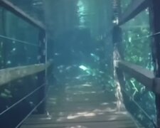 Unterwasser. Quelle: Screenshot YouTube