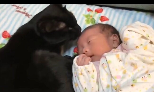 Katze und Baby. Quelle: Screenshot Youtube