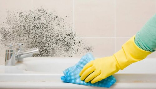 Schimmel und schmutzige Nähte im Badezimmer: Experten schlugen vor, wie man sie loswewden kann