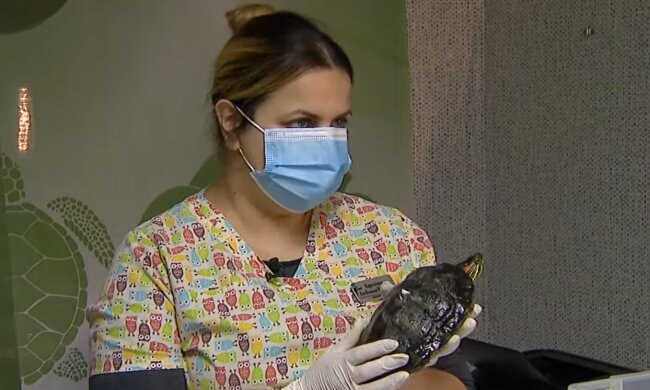 Jedes Leben ist wertvoll. Quelle: Screenshot YouTube