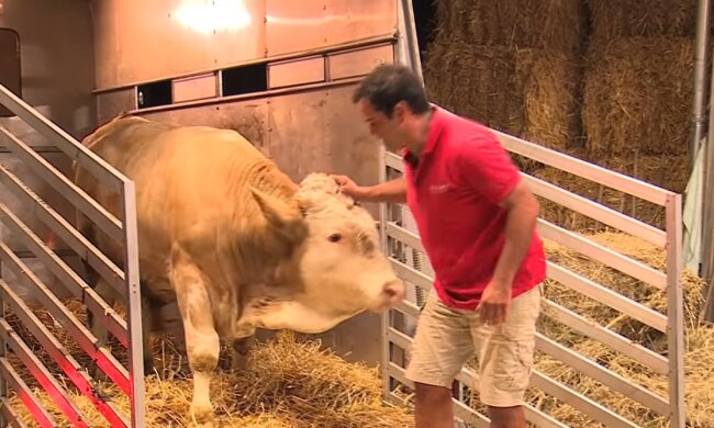 Freiheit. Quelle: Youtube Screenshot