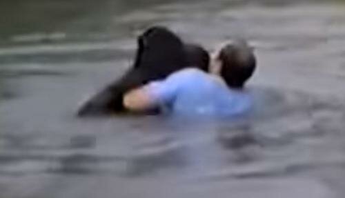 Der Mann warf sich ins Wasser, um den Affen zu retten, als das Zoopersonal sich weigerte, dem ertrinkenden Affen zu helfen