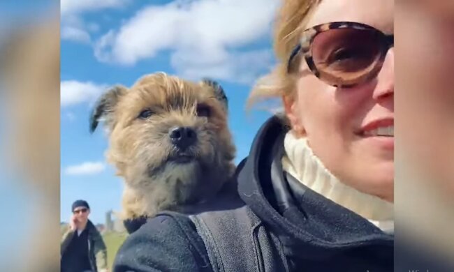 Messie. Quelle: Youtube Screenshot