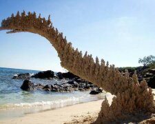 Wunder der Natur: Blitze, die den Sand treffen, schaffen wunderschöne Meisterwerke