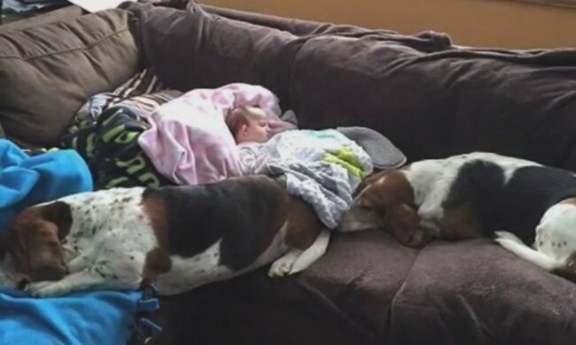 Gegenseitiges Verständnis. Quelle: Screenshot YouTube