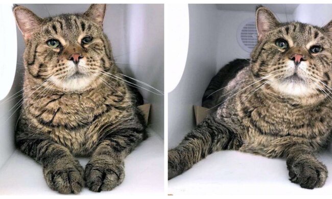 BJ. Quelle: Screenshot