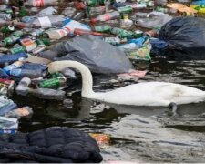 Fotos, nach denen Sie für immer Plastiktüten ablehnen wollen