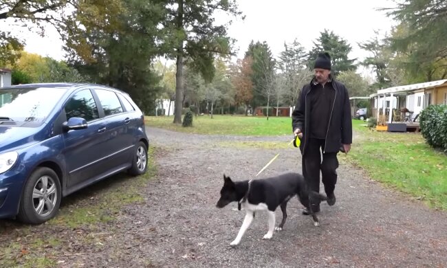 „Hundekot vor der Haustür“: Nachbarn erstatten Anzeige gegen rücksichtslose Hundebesitzer
