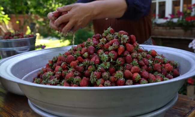 Generationenkonflikt im Erdbeerbeet. Quelle: Youtube Screenshot