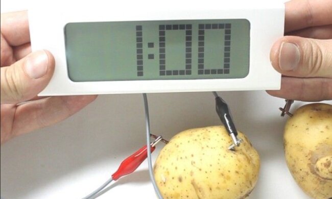 Entfernt Rost, poliert, pflegt die Haut: die wichtigsten Eigenschaften von Kartoffeln