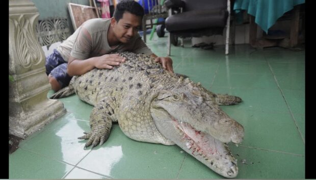 Der Mann mit dem Krokodil. Quelle: Screenshot YouTube