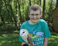 Animaltherapie: Eulen haben einem kleinen Jungen geholfen