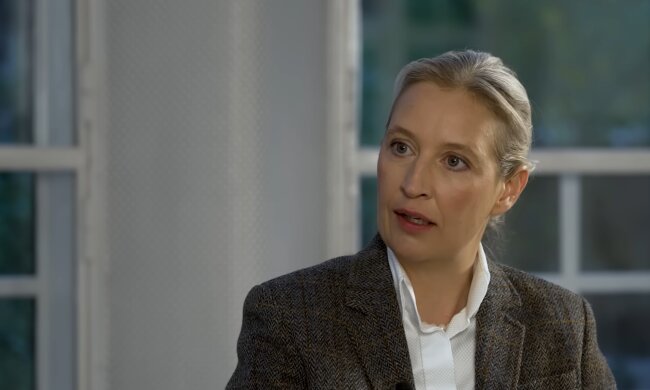 Die Bevölkerung lehnt Verbot der AfD ab. Quelle: Youtube Screenshot