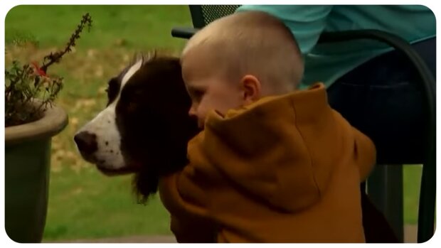Junge umarmet den Hund. Quelle: Youtube Screenshot