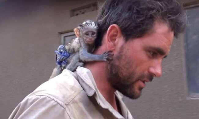 Der Mann rettete den Affen vor dem Feuer und das Tier dankte ihm
