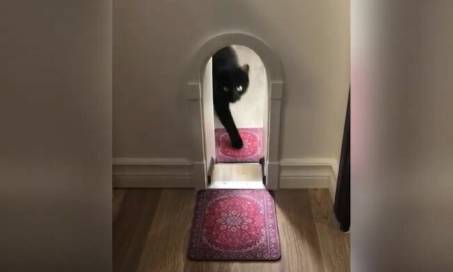 Nicht von menschlichen Türen zu unterscheiden