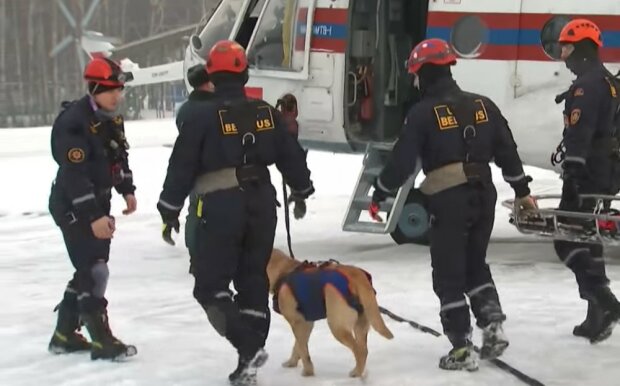 Eine noble Tat: Unter Einsatz seines Lebens beschloss der Feuerwehrmann, einen Hund aus dem brennenden Haus zu retten