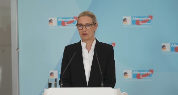 AfD plant umstrittene Baby-Prämie. Quelle: Youtube Screenshot