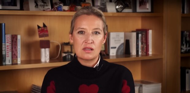 Alice Weidel spaltet Deutschland und gewinnt trotzdem Anhänger