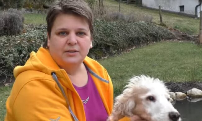 Hund, der nicht sehen kann, suchte sich eine Besitzerin und lief bei eisigen Temperaturen 5 Tage lang zu ihr