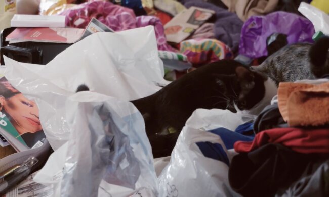 Die Menschen ließen Berge von Müll. Quelle: Youtube Screenshot