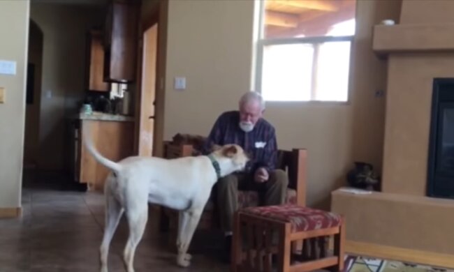 Mann mit dem Hund. Quelle: Youtube Screenshot