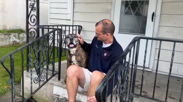 "Auf Wiedersehen, Freund": Die ganze Stadt kam zum letzten Spaziergang des Hundes