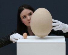 Die Natur kann überraschen: die ungewöhnlichsten Eier