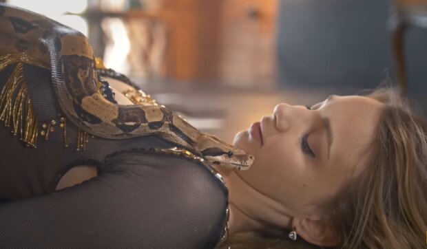 Eine Frau schlief jeden Tag mit einer Schlange: Als die Python anfing, sich seltsam zu verhalten, warnte der Tierarzt vor irreparablen Schäden
