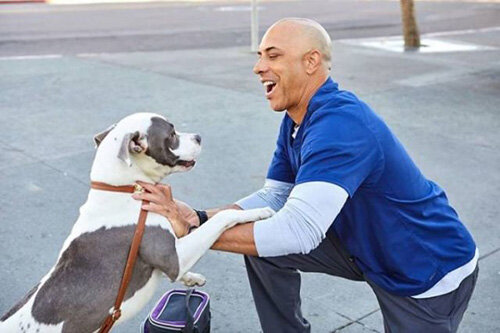 Er mag was er tut: Tierarzt aus Californien behandelt Obdachlose und Tiere freiwillig