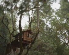 Haus im Wald. Quelle: Screenshot YouTube