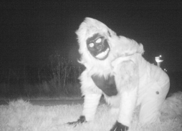 Die Polizei installierte eine Nachtsichtkamera, um den Puma zu finden, aber die Einheimischen beschlossen, sich vor dem Objektiv zu stellen