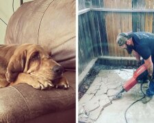 Die Besitzerin nahm einen Hund aus dem Tierheim, das nie einen eigenen Hof hatte. Und eines Tages überraschte sie ihn