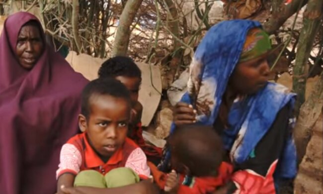 Wie normale Menschen auf Sansibar leben: Häuser, Gärten und Alltag in Afrika