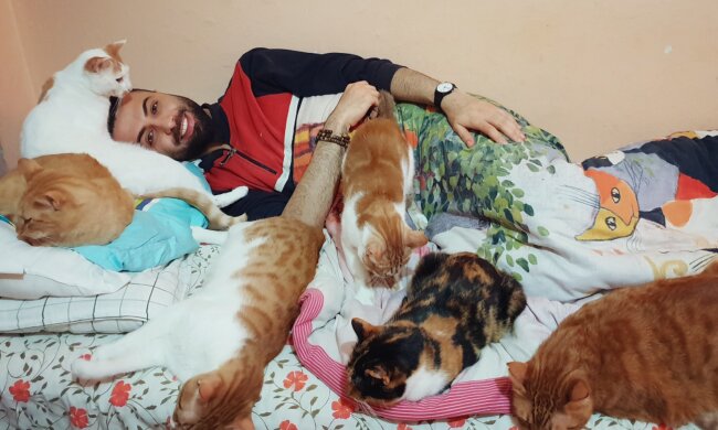 Wie eine streunende Katze das Leben eines Mannes veränderte